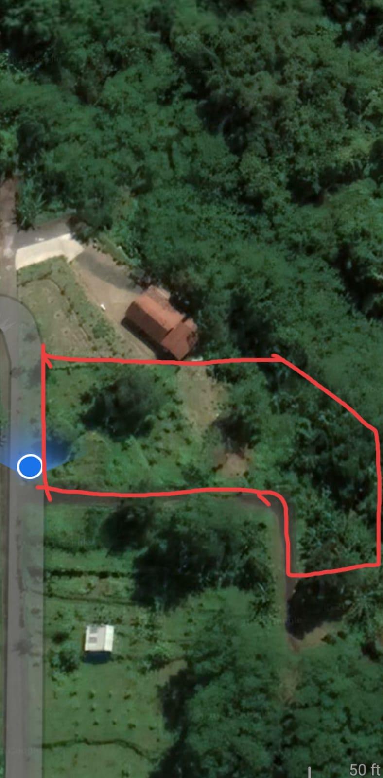 2200m2 Land For Sales in Gianyar Bali